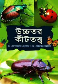 উচ্চতর কীট তত্ত্ব