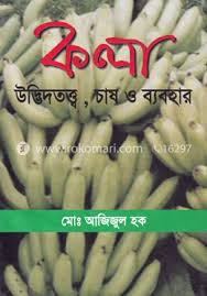 কলা উদ্ভিদতত্ব, চাষ ও ব্যবহার