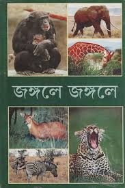 Jangle e Jangle e
