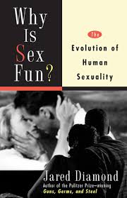 Why is sex fun