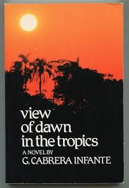 View of dawn in the tropics