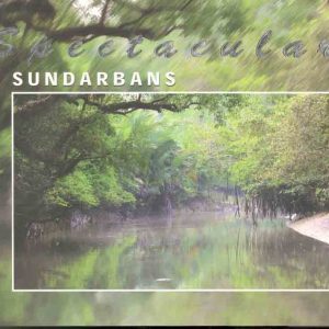 Spectacular Sundarbans