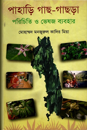09600715.jpg