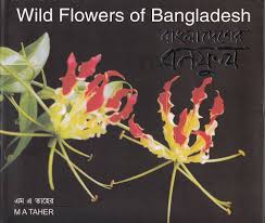 Wild flowers of Bangladesh