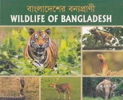 Wildlife of bangladesh / [text & english translation Aminoor Rahman ; chief photographer Aminoor Rahman]