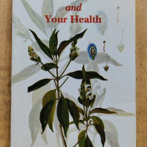 The Tibetan Medicine and Your Health