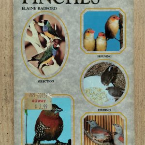 A Step-by-step Book About Finches